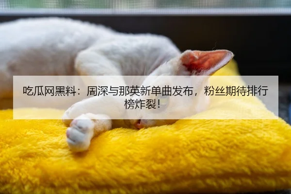 吃瓜网黑料：周深与那英新单曲发布，粉丝期待排行榜炸裂！